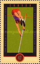 Pole Vaulter