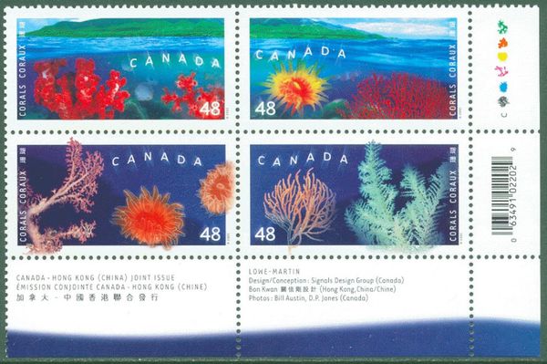 Corals (Tubastrea sp.) and (Echinogorgia sp.)