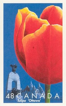 Ottawa Tulip and National War Memorial