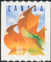 Maple Leaf