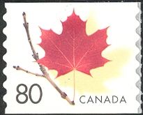 Red Maple Leaf on Twig - Definitive