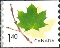 Green Maple Leaf on Twig - Definitive