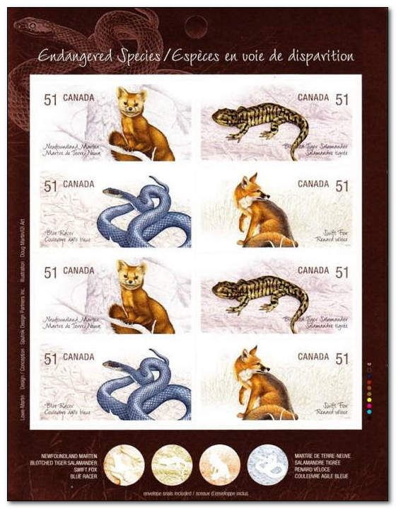Endangered Species - booklet