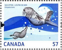 Sea Otter (Enhydra lutris)