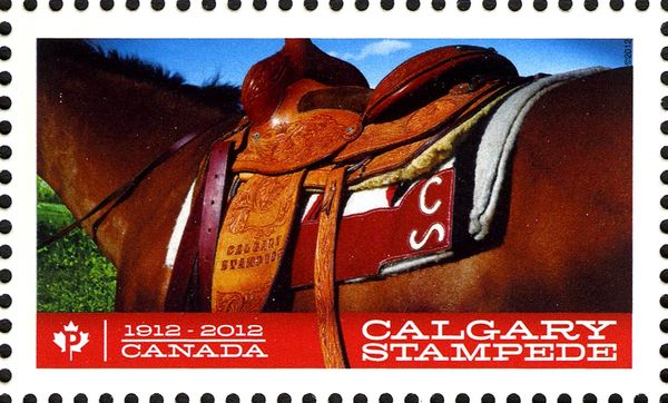 Saddle on Rodeo Horse