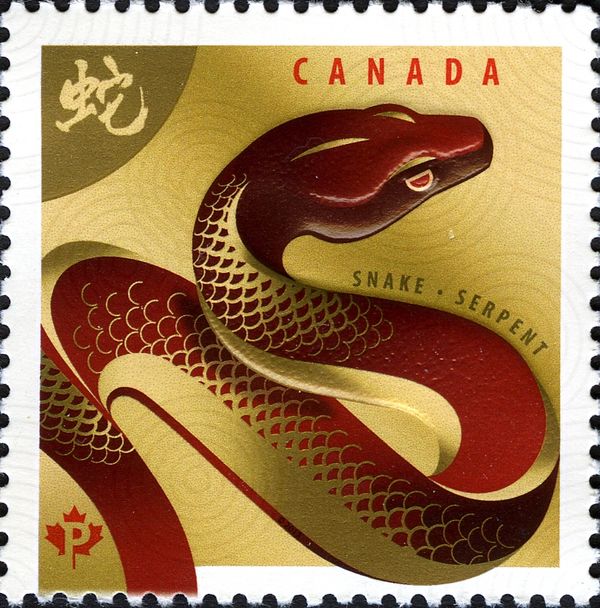 Year of the Snake