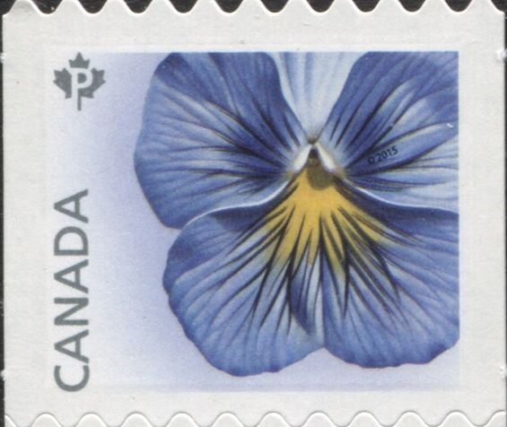 Delta Premium Pansy - coil