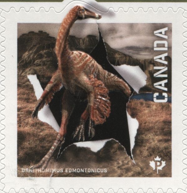 Ornithomimus edmontonicus