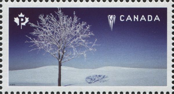 Winter, Alberta