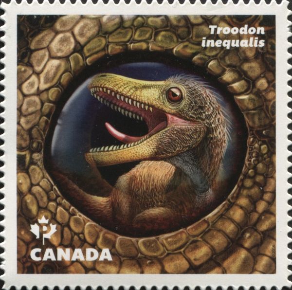 Troodon inequalis