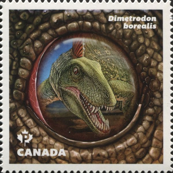 Dimetrodon borealis