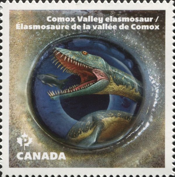 Comox Valley elasmosaur
