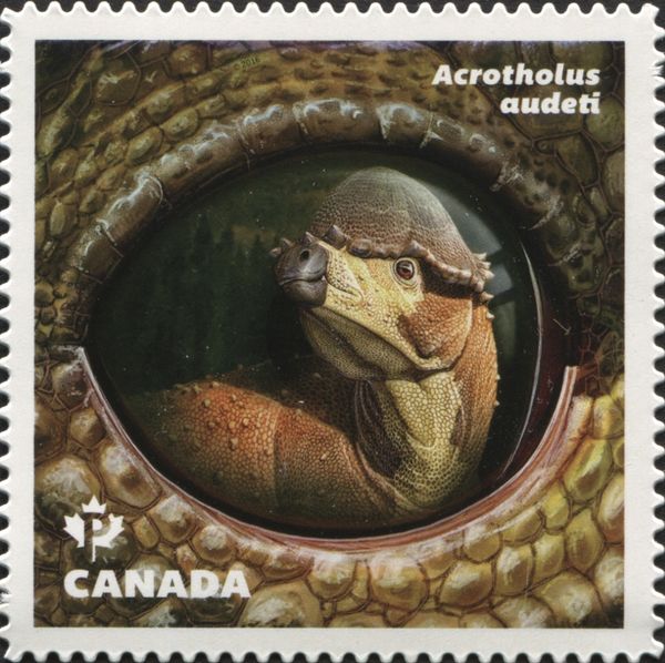 Acrotholus audeti