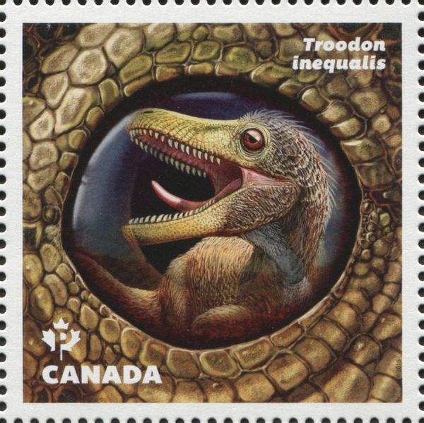 Troodon inequalis