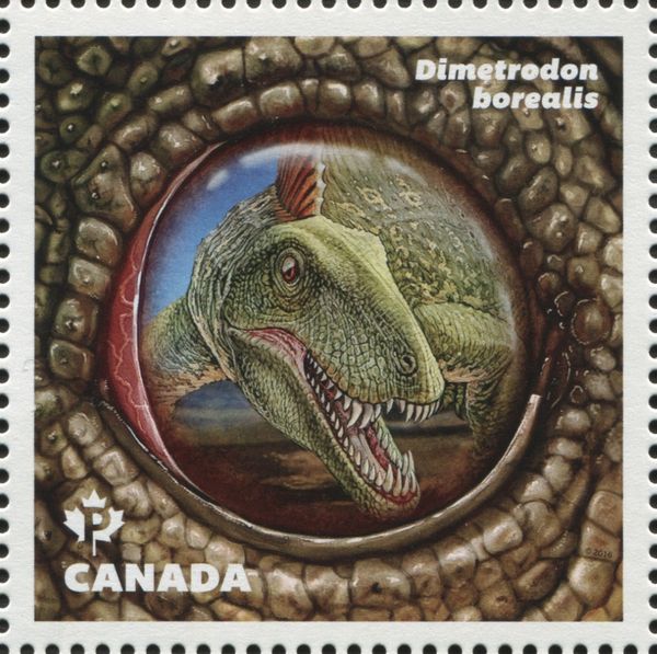 Dimetrodon borealis