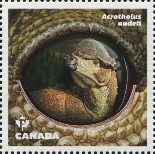 Acrotholus audeti