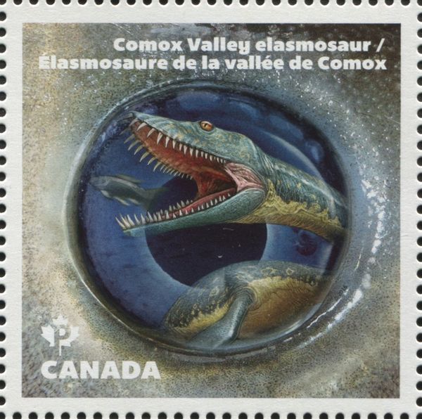 Comox Valley elasmosaur