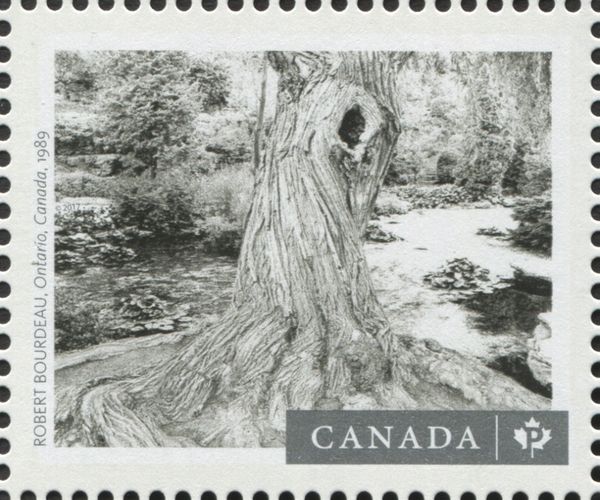 Ontario, Canada, 1989, by Robert Bourdeau