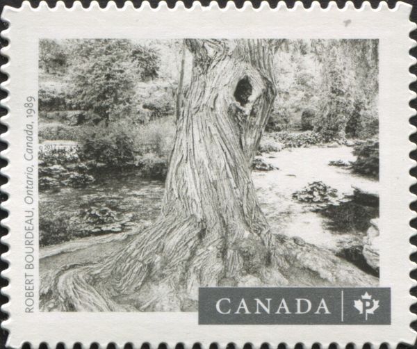 Ontario, Canada, 1989, by Robert Bourdeau