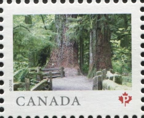 MacMillan Provincial Park, BC