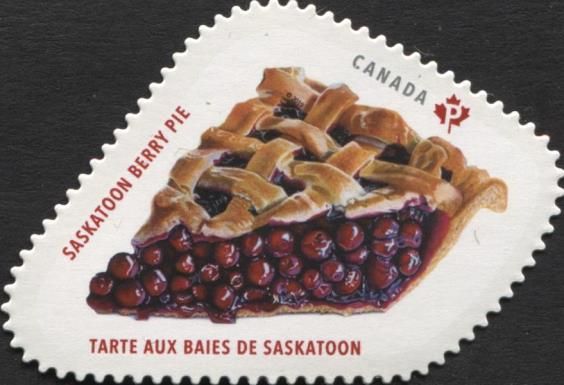 Saskatoon Berry Pie