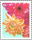Dahlias (from Booklet Pane)