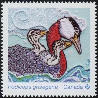 Red-Necked Grebe (Podiceps grisegena)