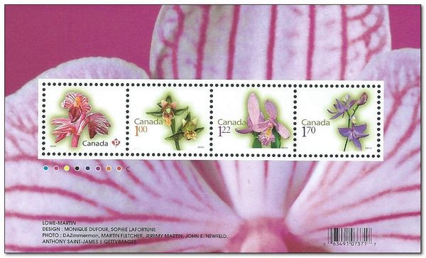 Orchids