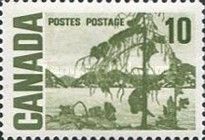 Jack Pine by Thomas John Thomson