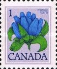 Bottle Gentian (Gentiana andrewsii)