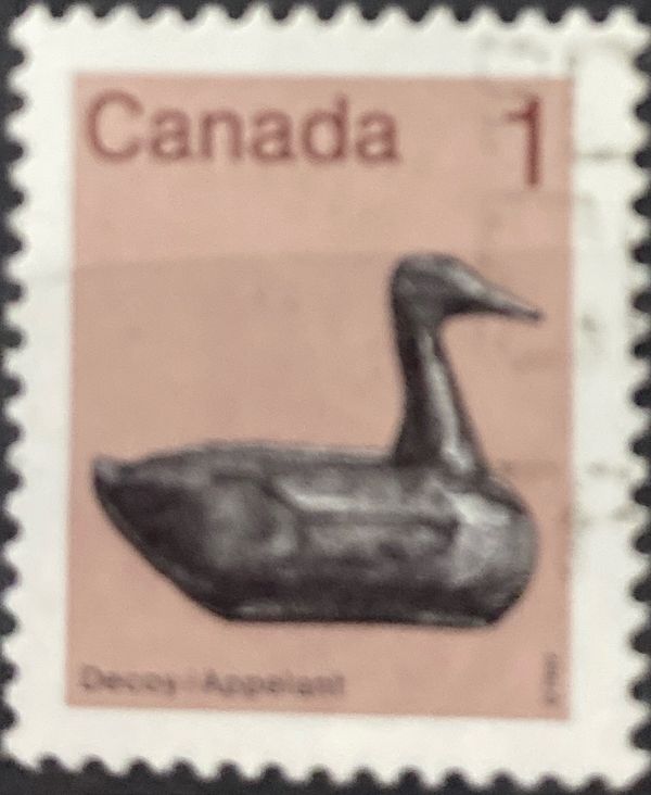 Decoy