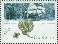 Acadian Forest