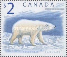 Polar Bear (Ursus maritimus)