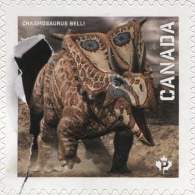 Chasmosaurus belli