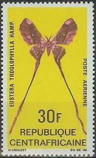 Moth (Eustera troglophylla)