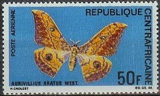 Cat's Eyed Emperor (Aurivillius aratus)