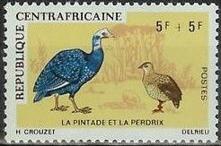 Helmeted Guineafowl (Numida meleagris), Scaly Francolin (Pt