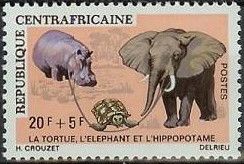 Elephant, Turtle & Hippopotamus