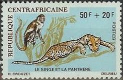 Tantalus Monkey (Chlorocebus tantalus), Leopard (Panthera pa