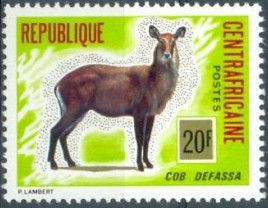 Defassa Waterbuck (Kobus defassa)