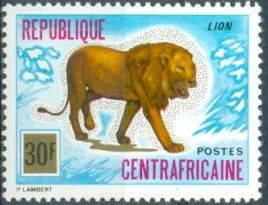 African Lion (Panthera leo)