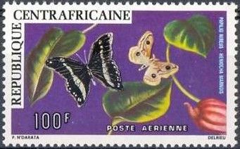 Green-banded Swallowtail (Papilio nireus), Marbled Emperor M