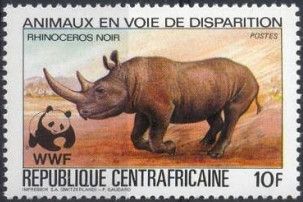Black Rhinoceros (Diceros bicornis)