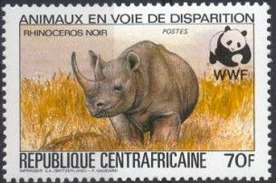 Black Rhinoceros (Diceros bicornis)