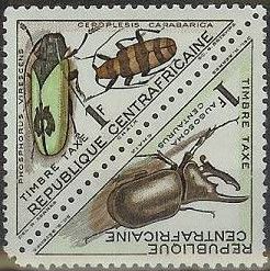 Centaurus Giant Beetle (Augosoma centaurus)