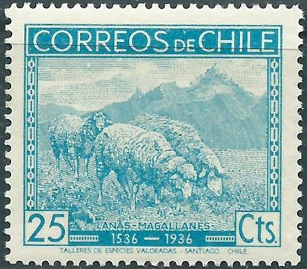 Domestic Sheep (Ovis ammon aries)