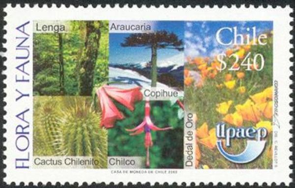 Flora and Fauna