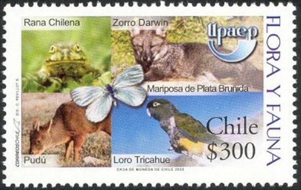 Flora and Fauna (see Description)