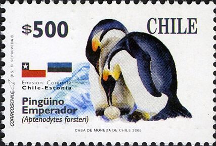 Emperor Penguin (Aptenodytes forsteri)