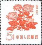 Chrysanthemums
